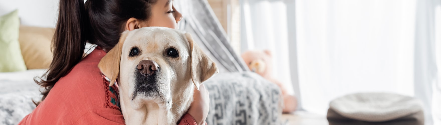 La boutique en ligne d'accessoires pour chiens Pépère Shop