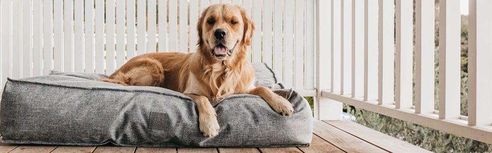 Paniers pour gros chiens de PEPERE SHOP