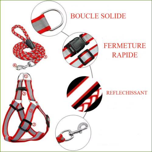 Baudrier pour chien réfléchissant avec laisse assortie