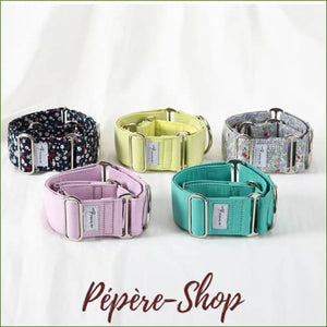 Collier martingale en coton avec boucles chromées pour chiens