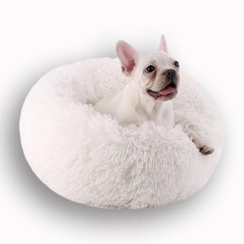 Coussin anti-stress pour bouledogue