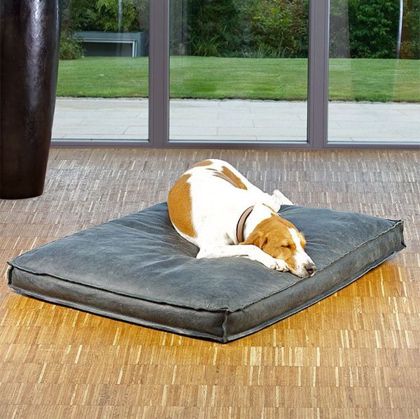 coussins pour grand chiens