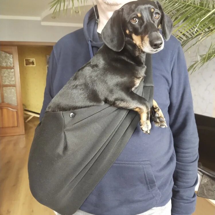 Sac ventral pour chien