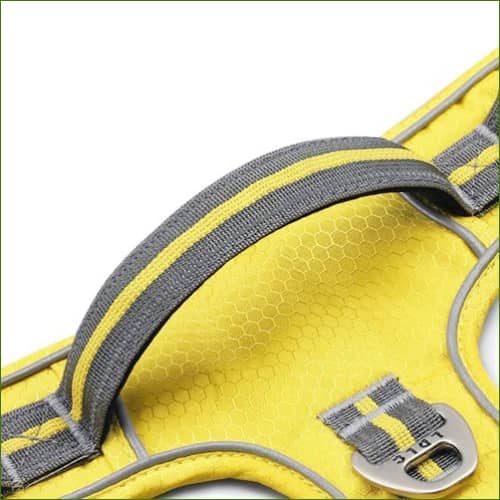 Harnais anti traction pas cher avec poignée