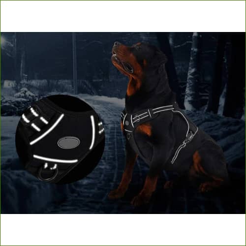 Harnais Camouflage Zedog réfléchissant