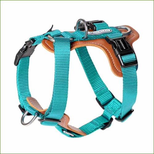 Harnais Vert / S 33-48Cm