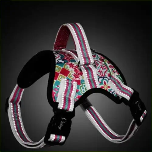 Harnais de promenade pour chien au design fantaisie ajustable et rembourré harnais pour chiens