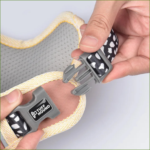 Harnais design fantaisie unique et coloré pour chiens