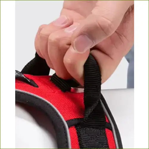 Harnais en nylon ergonomique -poignée solide