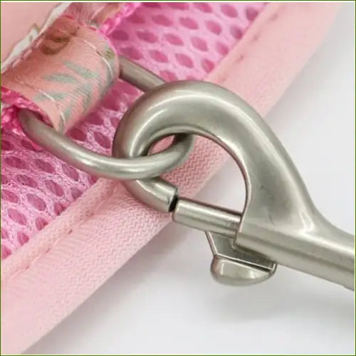 Harnais en tissu avec la laisse assortie