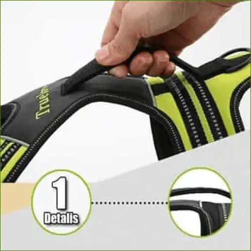 Harnais modèle FOREST pour grand chien double attache avec poignée