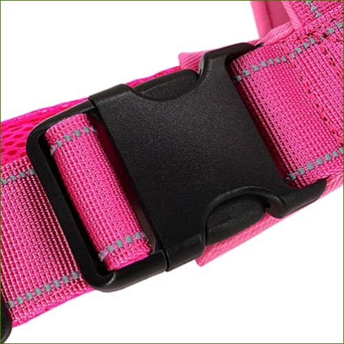 Harnais réflecteur avec boucle rapide de fermeture