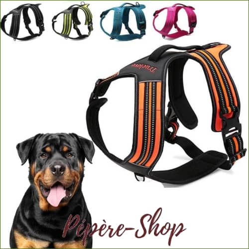 Harnais Rottweiler - Double attache et robuste - modèle FOREST - -PEPERE SHOP
