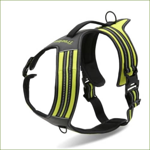 Harnais Rottweiler - Double attache et robuste - modèle FOREST - Jaune / XL(90-125cm)-PEPERE SHOP