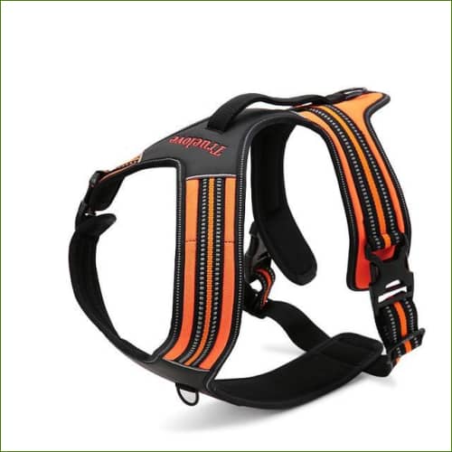 Harnais Rottweiler - Double attache et robuste - modèle FOREST - orange / XL(90-125cm)-PEPERE SHOP