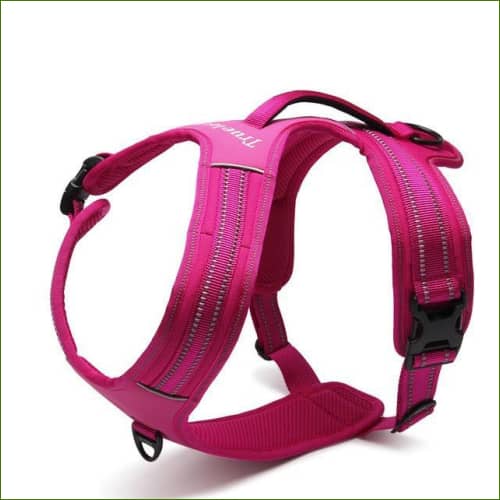 Harnais Rottweiler - Double attache et robuste - modèle FOREST - Rose / XS(43-49cm)-PEPERE SHOP