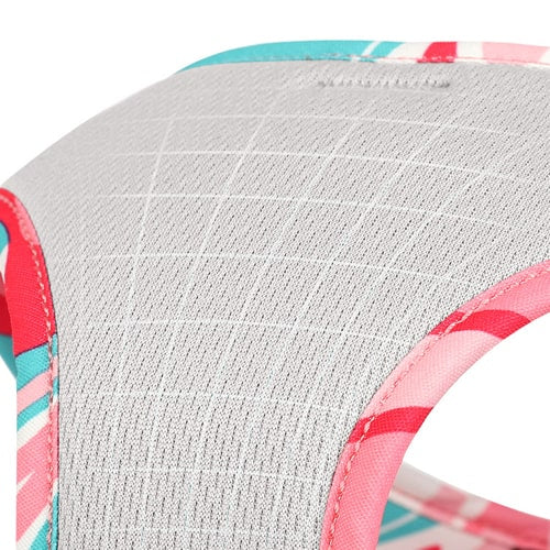 Harnais coloré avec rembourrage