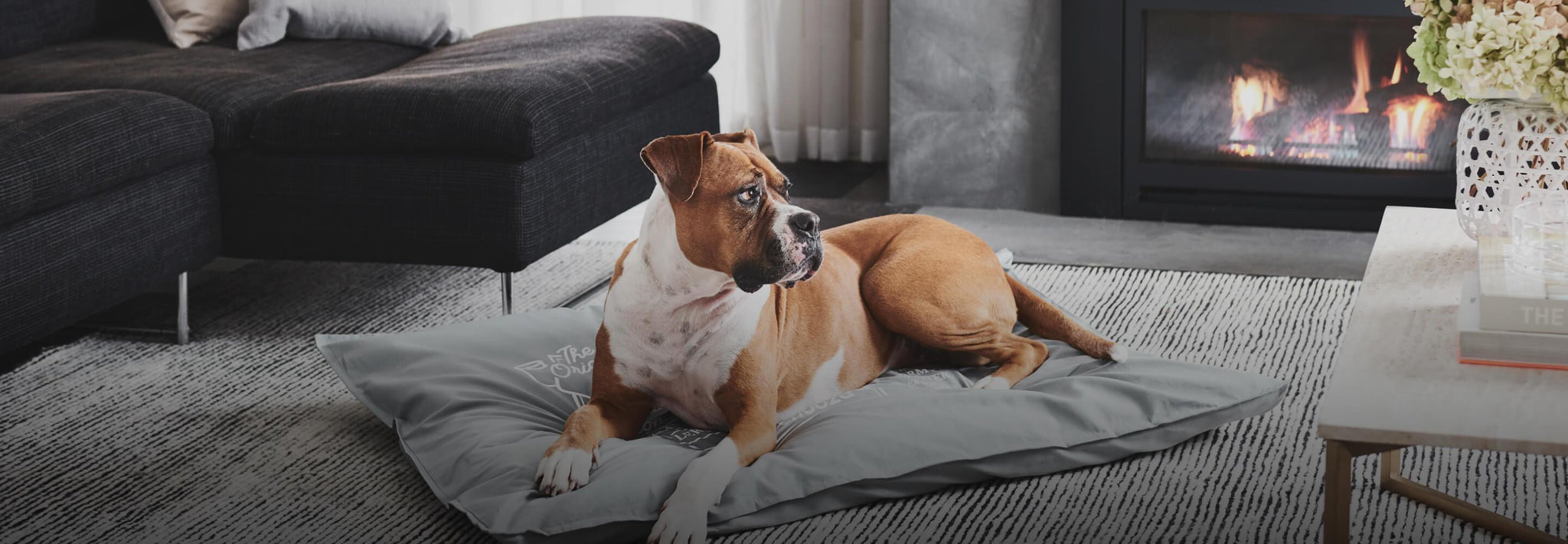 A propos de Pépère-Shop