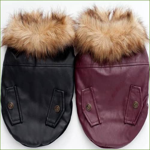 manteau en cuir pour chien vue de dos