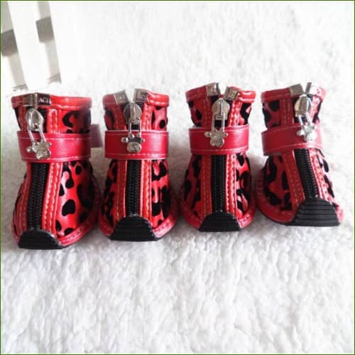 Bottines pour animaux de compagnie - Motif Léopard Rouge / 1