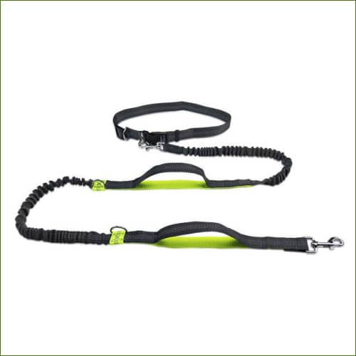 Ceinture Laisse Vert clair