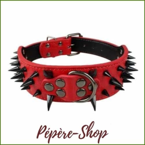 Collier a pointe pour molosse en cuir coloré - Red 1 / S-PEPERE SHOP