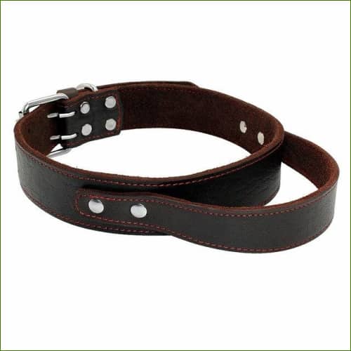 Collier cuir avec poignée pour chien Marron / L
