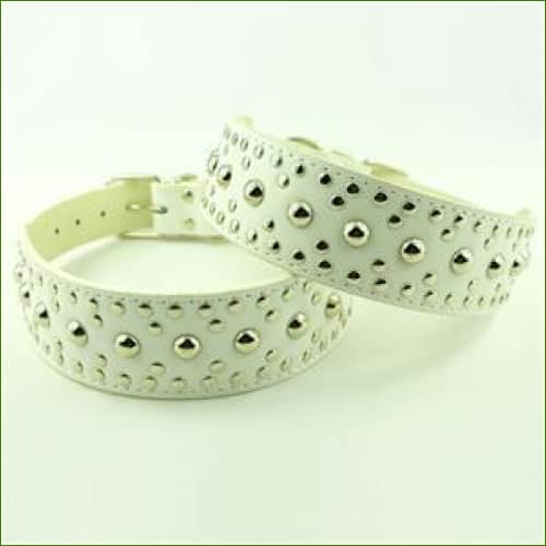 Collier pour animaux Cuir Clouté - 5Cm De Large Réglable Blanc / Xs