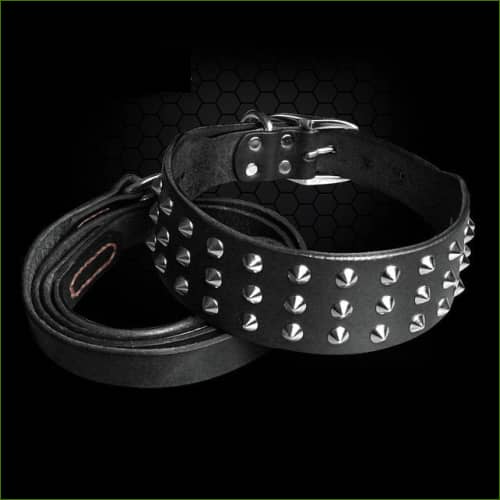 Collier Cuir Large Et Épais pour molosses Noir / L