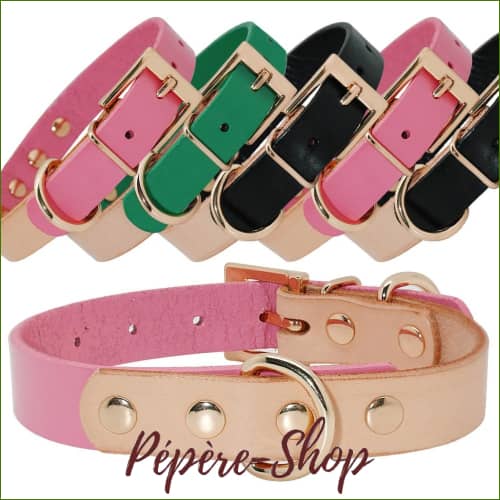 Collier Cuir Pour Petit Chien Au Design Bicolore De Luxe
