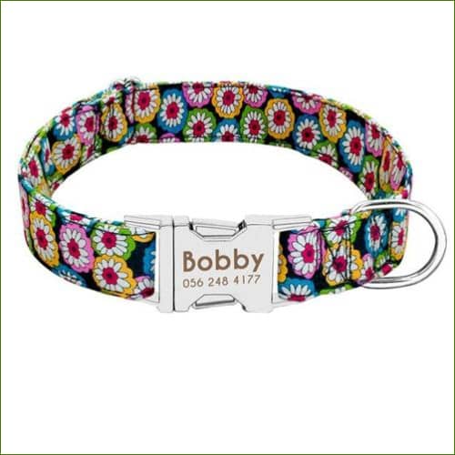 collier avec identification Rouge / L