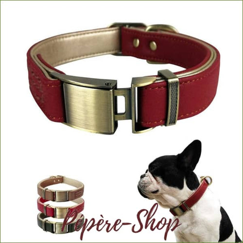 Collier cuir pour petit chien rembourré avec boucle à dégagement rapide -PEPERE SHOP