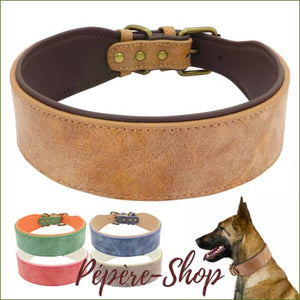 Collier doublé pour gros chien - modèle en cuir