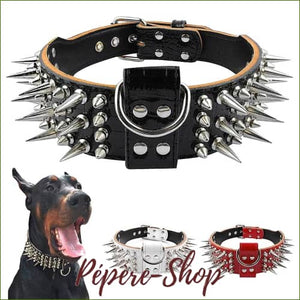 Collier en cuir véritable clouté pour chien