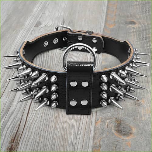 Collier En Cuir Véritable Clouté Pour Chien Noir / M Collier