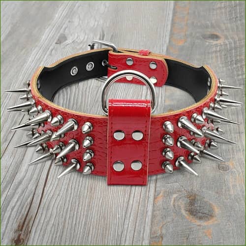 Collier En Cuir Véritable Clouté Pour Chien Rouge / M Collier