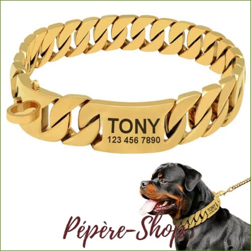 Collier En Métal Pour Chien Personnalisé Par Gravure Laser