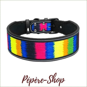 Collier en nylon large et coloré , réfléchissant pour chiens