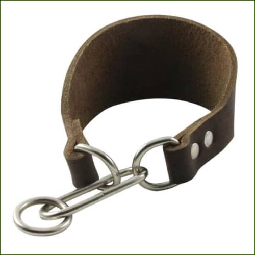 Collier chien lévrier Martingale En Cuir Véritable