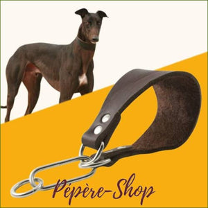 Collier martingale lévrier en cuir véritable