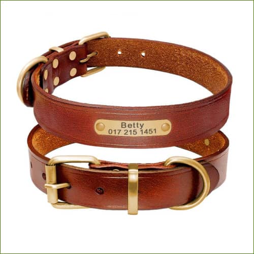 collier en cuir pour chien personnalisable vue de face