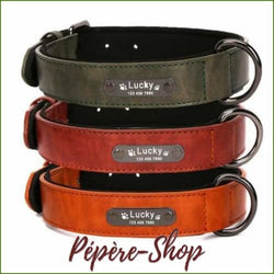 Collier personnalisé pour chien en cuir coloré avec prénom - -PEPERE SHOP