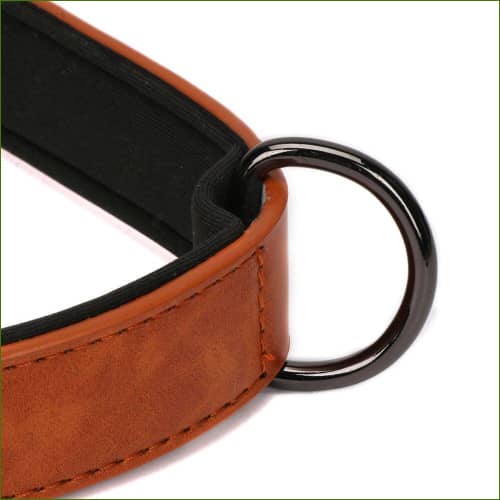 collier pour chien personnalisé avec prénom détail attache de laisse