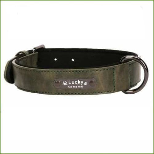 Collier avec prénom du chien couleur vert