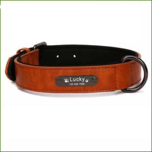 collier pour chien personnalisé avec prénom: couleur orange