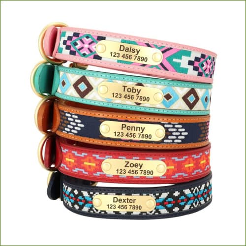 Collirs gravés pour chiens