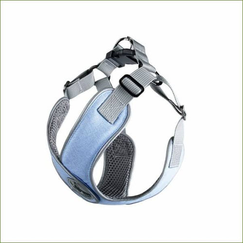 Harnais pour teckel COMFORT X ajustable et confortable - Bleu / L-PEPERE SHOP