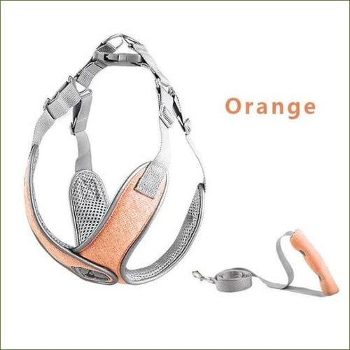 Harnais pour teckel COMFORT X ajustable et confortable - Ensemble orange / XS-PEPERE SHOP