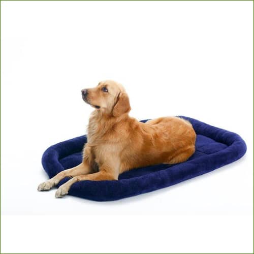 avec un chien allongé