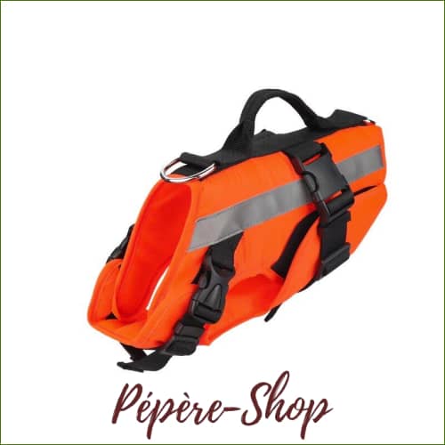 Gilet De Flottaison Pour Chien La Sécurité Dans Leau